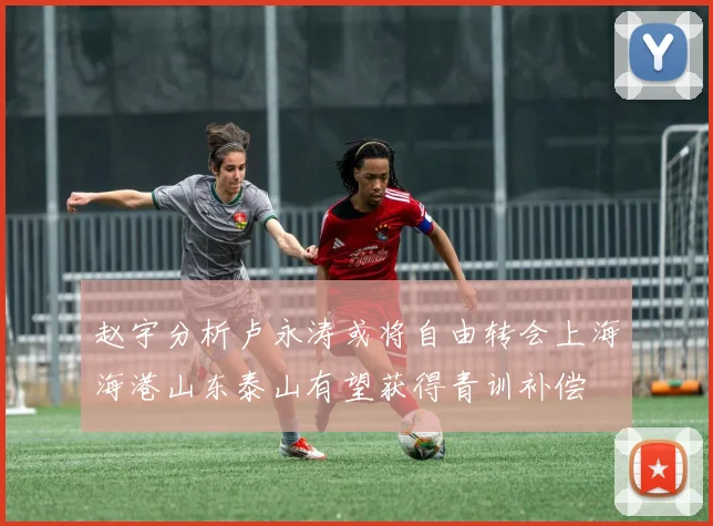 赵宇分析卢永涛或将自由转会上海海港山东泰山有望获得青训补偿