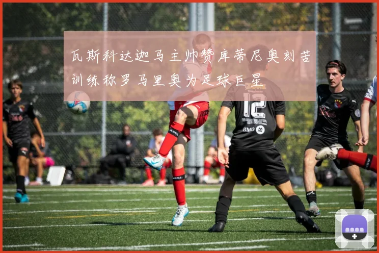 瓦斯科达迦马主帅赞库蒂尼奥刻苦训练称罗马里奥为足球巨星