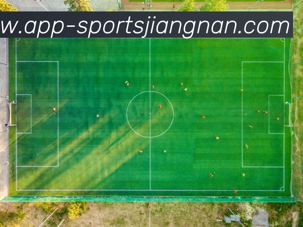 江南体育平台生态图